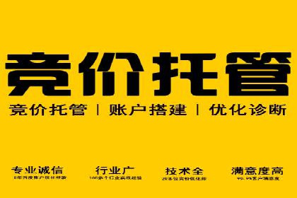 案例对比：SEM推广代运营效果评估
